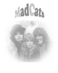 MadCats: dv rockov trio (MadCats: girlish rock trio)